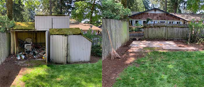 Before and After Old Shed Tear Down and Removal by Mike & Dad’s Hauling in Vancouver WA