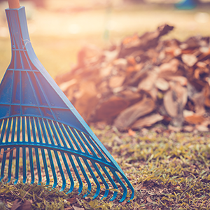 Property and Yard Debris Removal services in Vancouver WA by Mike and Dad's Hauling